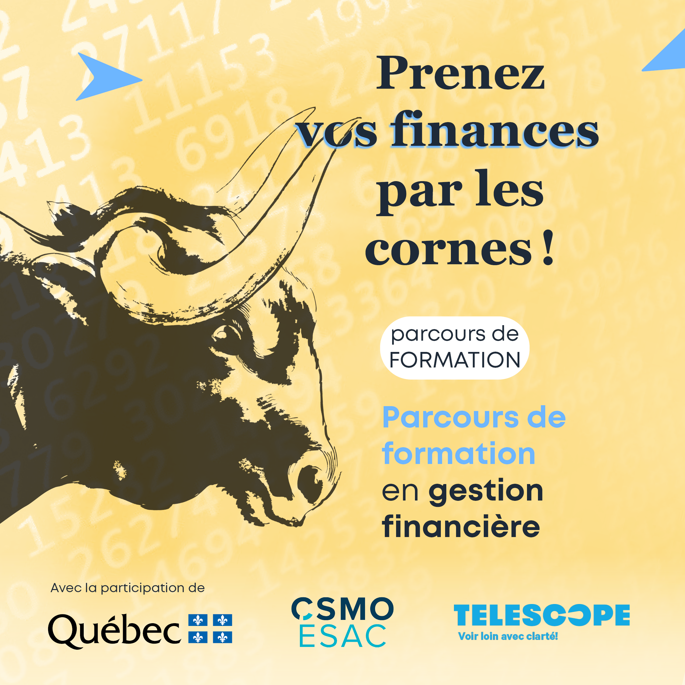 Parcours de formation en gestion financière