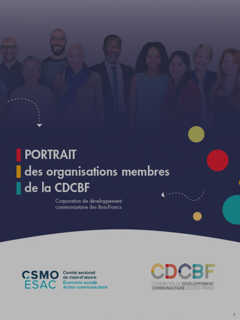 Portrait des organisations membres de la Corporation de développement communautaire des Bois-Francs