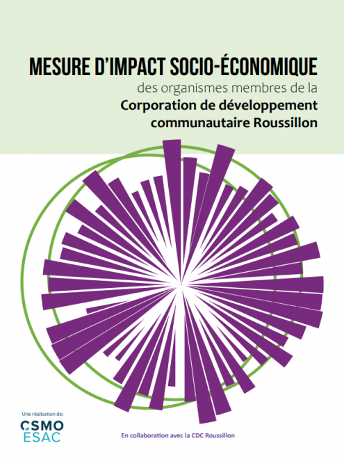 Mesure d'impact socio-économique des organismes membres de la Corporation de développement communautaire Roussillon