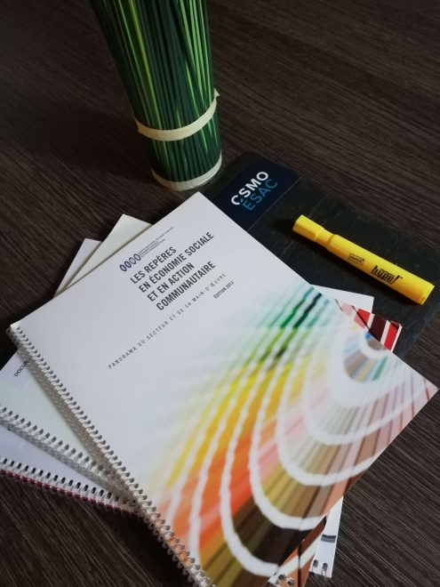 Les Repères en économie sociale et en action communautaire, Édition 2012