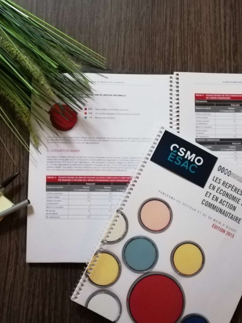 Les Repères en économie sociale et en action communautaire, Édition 2015