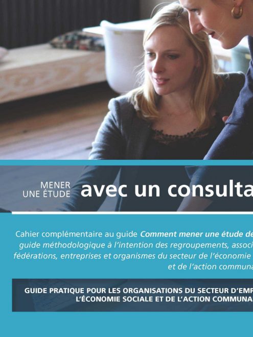 Mener une étude avec un consultant