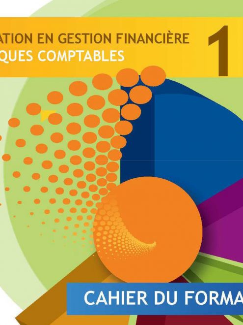 Kit pour les formateurs en gestion financière : Module 1 - Pratiques comptables