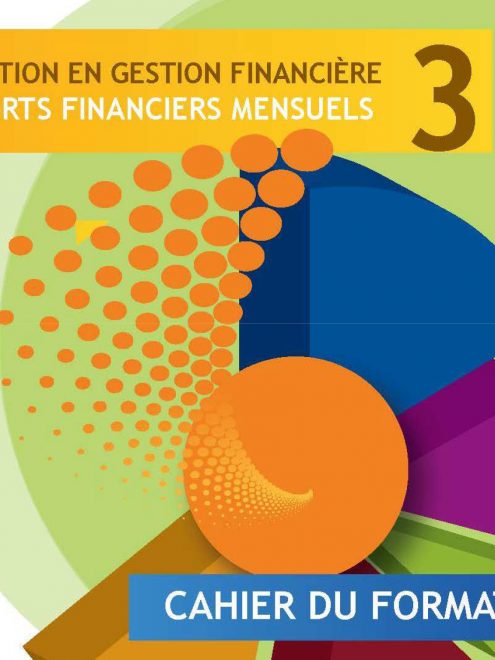 Kit pour les formateurs en gestion financière : Module 3 - Rapports financiers mensuels
