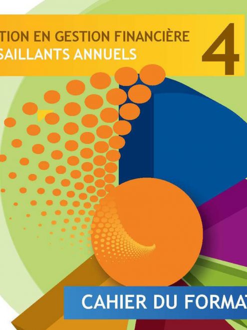 Kit pour les formateurs en gestion financière : Module 4 - Faits saillants annuels